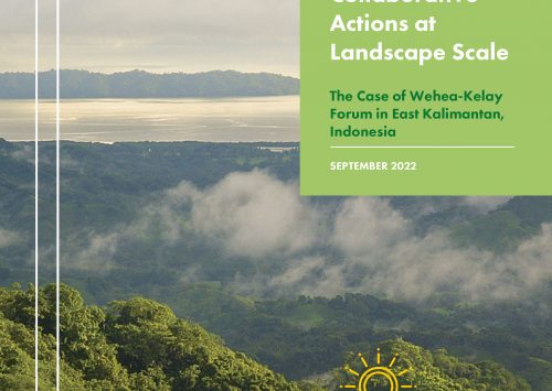 The Case of Wehea-Kelay Forum in East Kalimantan, Indonesia