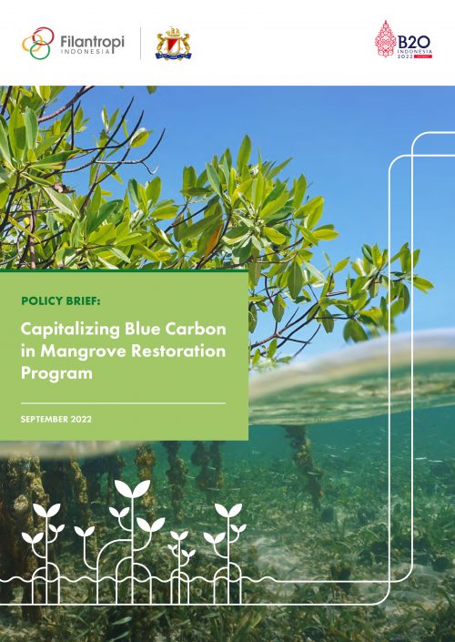 Capitalizing Blue Carbon in Mangrove Restoration Program