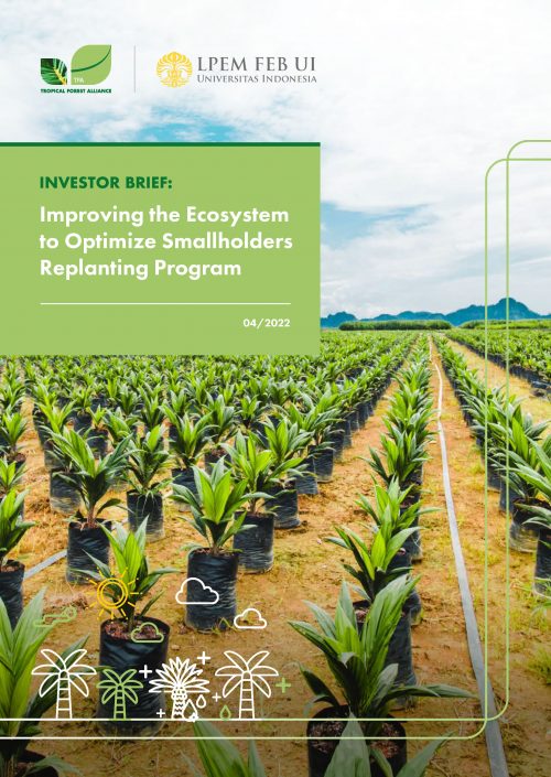 Investor Brief: Improving the Ecosystem to Optimize Smallholders Replanting Program