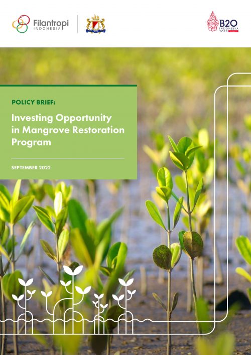 Investing Opportunity in Mangrove Restoration Program
