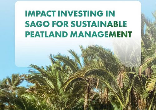 Impact Investing in Sago for Sustainable Peatland Management